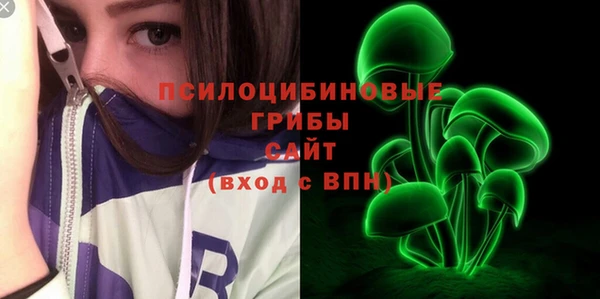 молекула духа Арсеньев