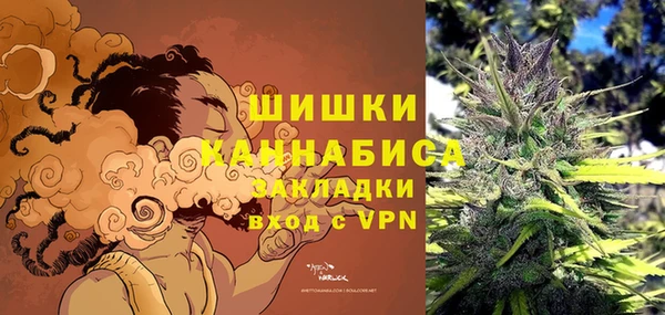 молекула духа Арсеньев