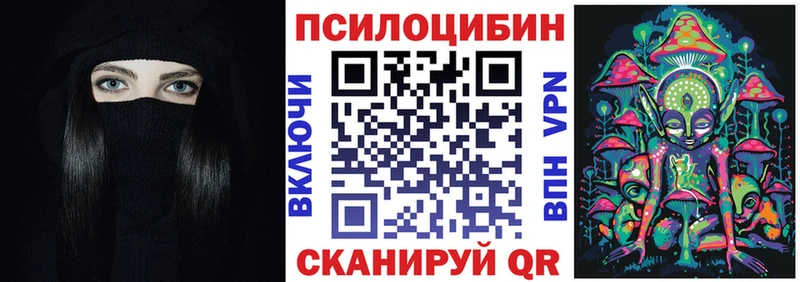 Псилоцибиновые грибы Psilocybe  Асино 